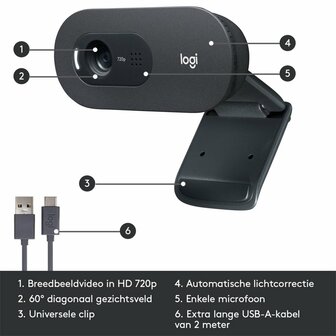 Logitech C505 HD Webcam