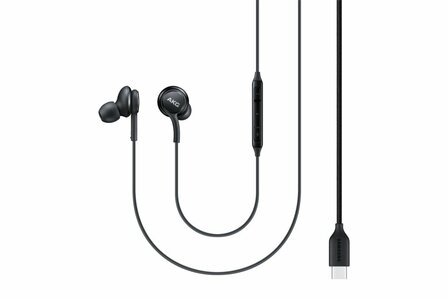 Samsung EO-IC100 Headset Bedraad In-ear Oproepen/muziek USB Type-C Zwart