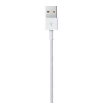 Apple Lightning - USB 2 m Wit