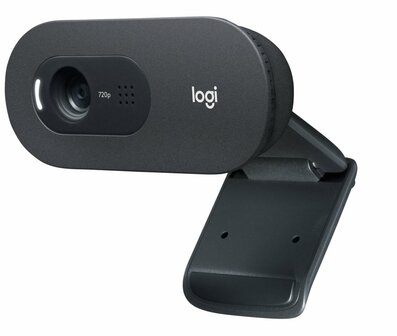 Logitech C505e webcam 1280 x 720 Pixels USB Zwart