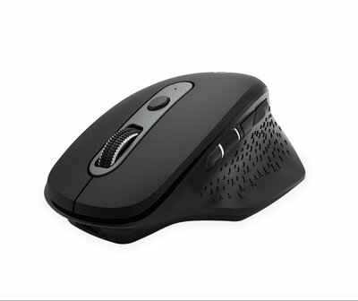 QWARE Wireless Ergo Mouse York Zwart