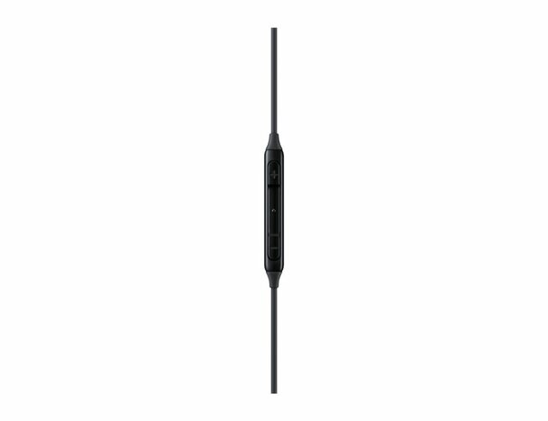 Samsung EO-IC100 Headset Bedraad In-ear Oproepen/muziek USB Type-C Zwart