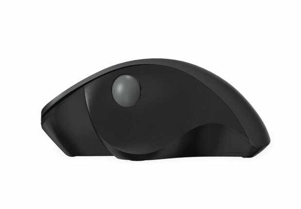 QWARE Wireless Mouse Luton Zwart