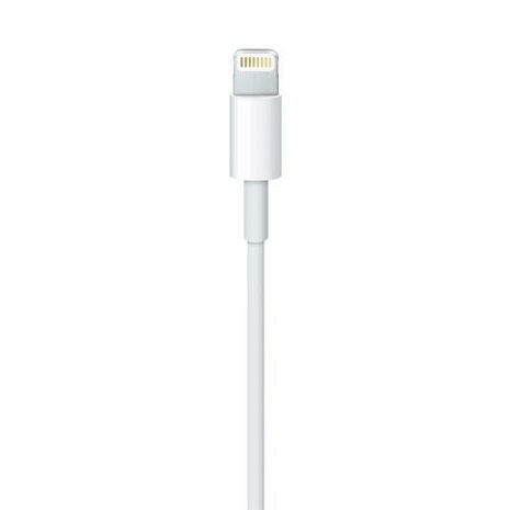 Apple Lightning - USB 2 m Wit