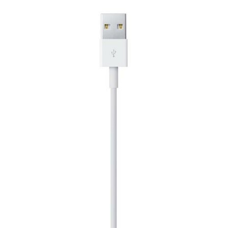 Apple Lightning - USB 2 m Wit