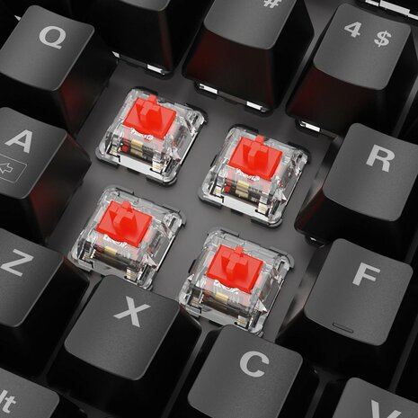 Sharkoon SKILLER SGK20 RGB | Mechanisch Gaming Toetsenbord | QWERTY | Zwart