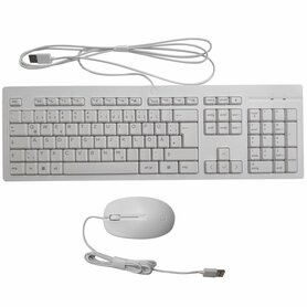 QWERTZ | HP M52730-041 | Bedraad Muis en Toetsenbordcombo | QWERTZ
